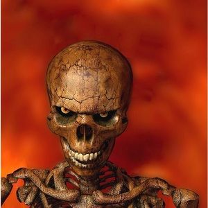 Meet your Posher, Degie